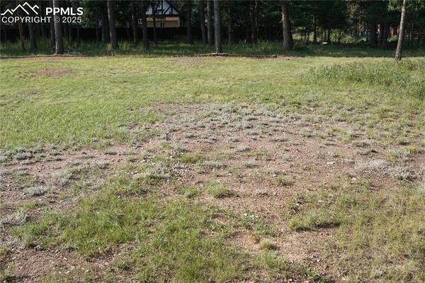 W Bowman AVE, Woodland Park, CO 80863