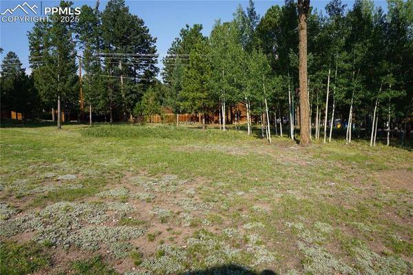 W Bowman AVE, Woodland Park, CO 80863