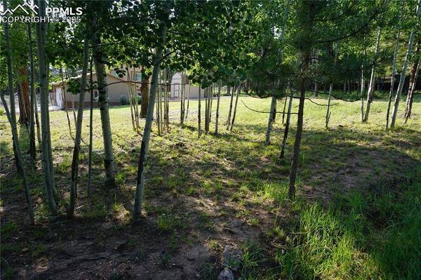 W Bowman AVE, Woodland Park, CO 80863