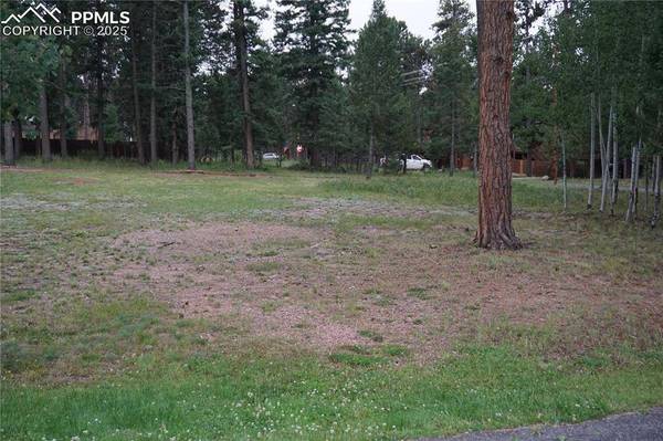 W Bowman AVE, Woodland Park, CO 80863