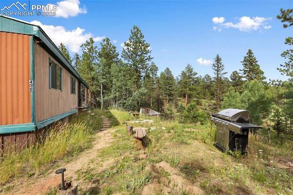 410 Rangeview RD, Divide, CO 80814