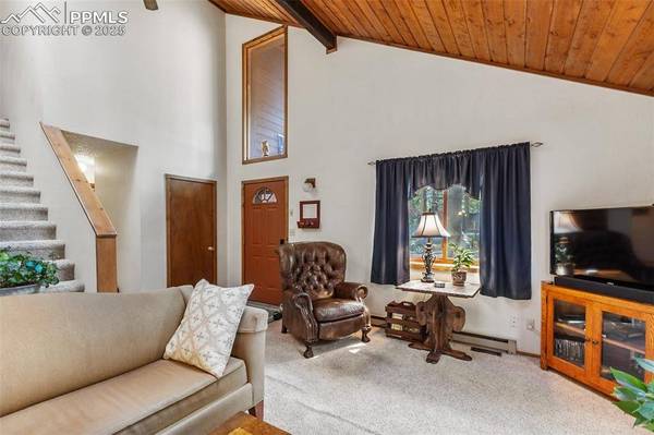 698 N Elm ST, Woodland Park, CO 80863