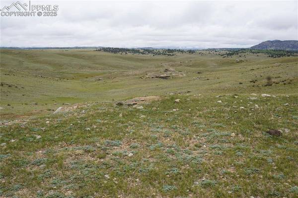 TBD High DR, Hartsel, CO 80449