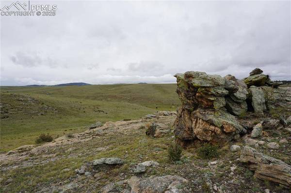 TBD High DR, Hartsel, CO 80449