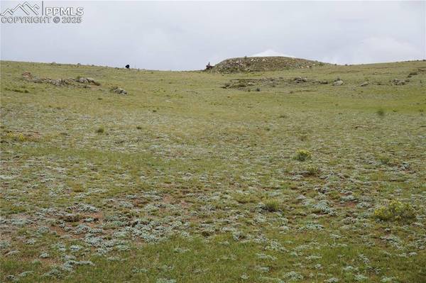 TBD High DR, Hartsel, CO 80449