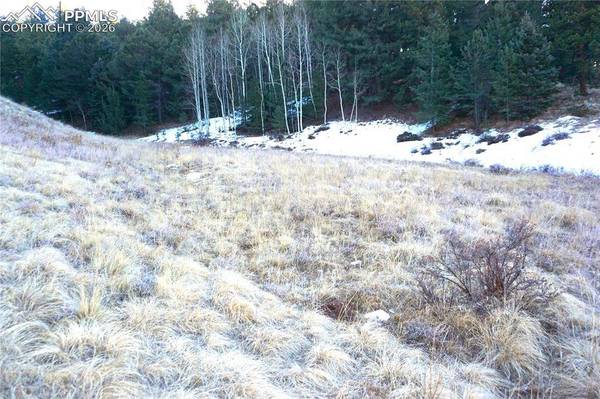 637 Valley RD, Divide, CO 80814