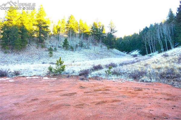 637 Valley RD, Divide, CO 80814