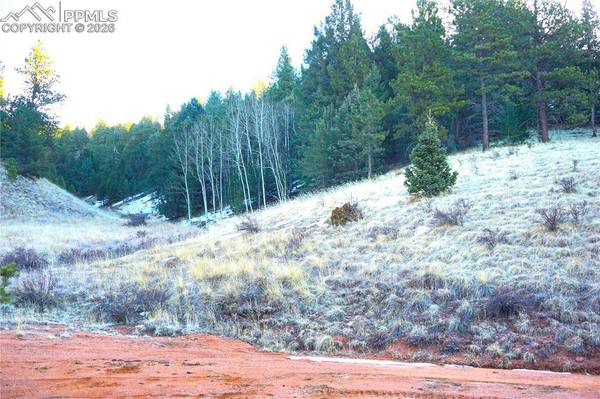 637 Valley RD, Divide, CO 80814