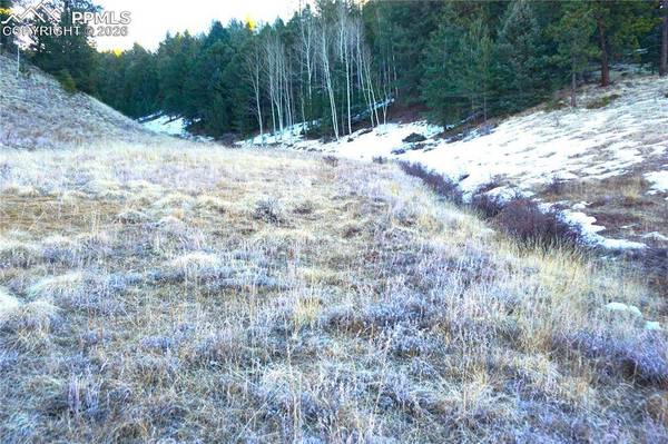 637 Valley RD, Divide, CO 80814