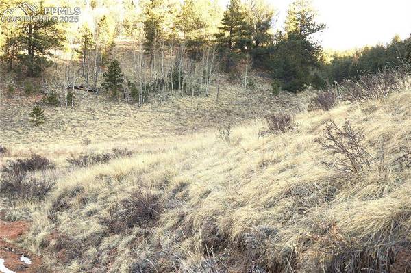 637 Valley RD, Divide, CO 80814