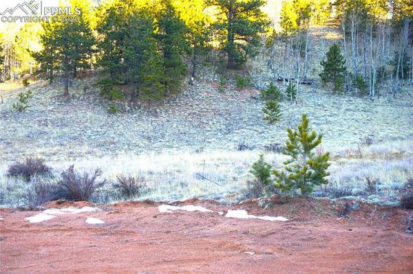 637 Valley RD, Divide, CO 80814