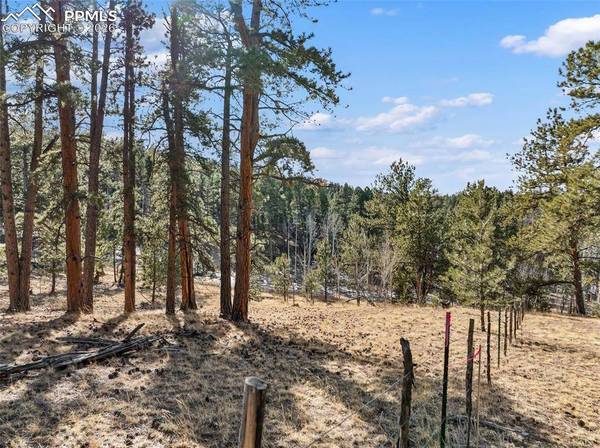 Lot 20A Echo Lake DR, Lake George, CO 80827