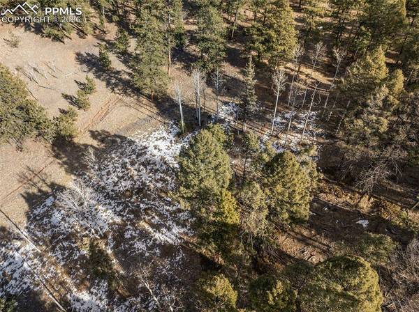 Lot 20A Echo Lake DR, Lake George, CO 80827