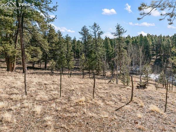 Lot 20A Echo Lake DR, Lake George, CO 80827