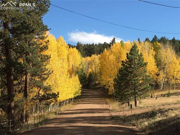 Lot 20A Echo Lake DR, Lake George, CO 80827