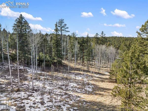 Lot 20A Echo Lake DR, Lake George, CO 80827