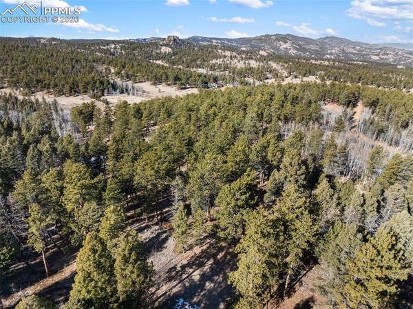 Lot 20A Echo Lake DR, Lake George, CO 80827