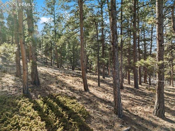 Lot 20 Echo Lake DR, Lake George, CO 80827