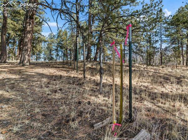 Lot 20A Echo Lake DR, Lake George, CO 80827