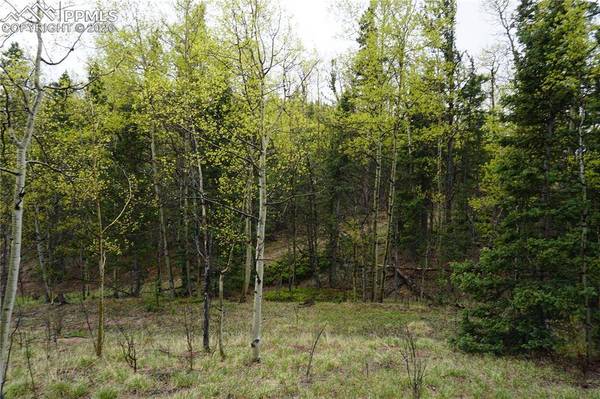 Vacant Land, Cripple Creek, CO 80813