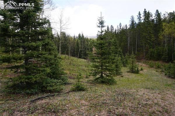 Vacant Land, Cripple Creek, CO 80813