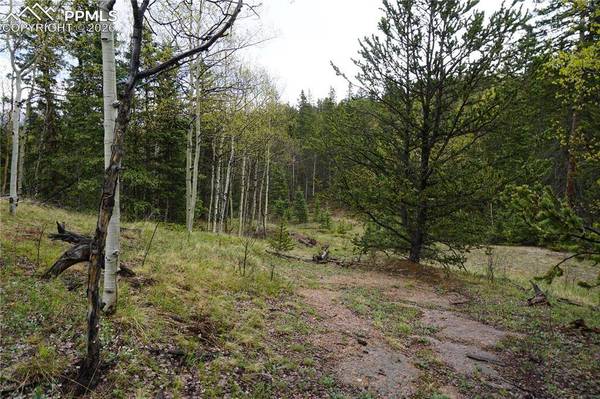 Vacant Land, Cripple Creek, CO 80813