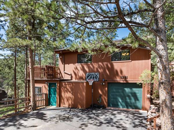 1231 Midland Ave, Woodland Park, CO 80863-2343