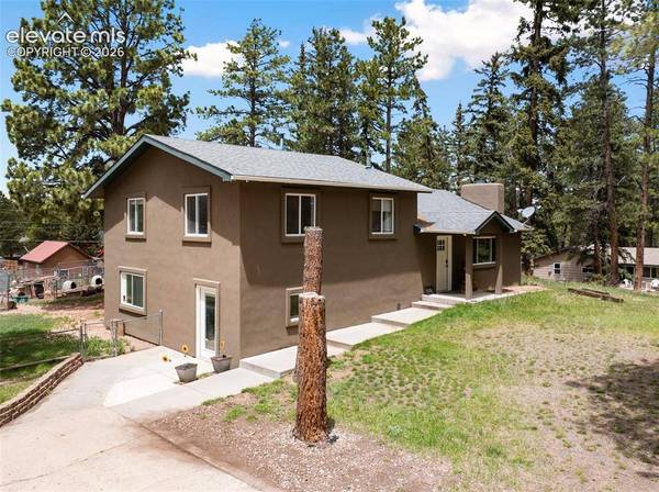 10 Ollie CT, Woodland Park, CO 80863
