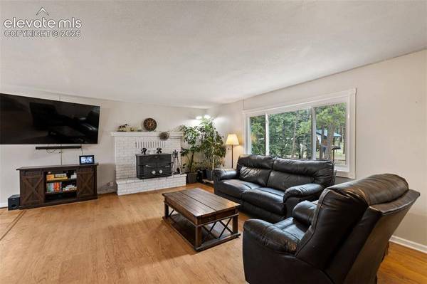 10 Ollie CT, Woodland Park, CO 80863