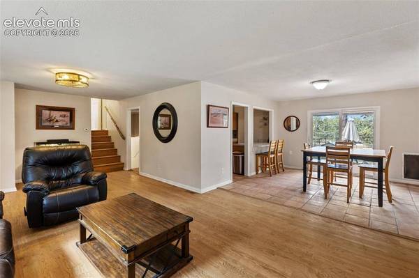 10 Ollie CT, Woodland Park, CO 80863