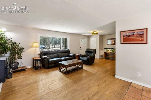10 Ollie CT, Woodland Park, CO 80863