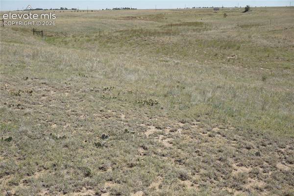 143 N Holtwood Road, Rush, CO 80833