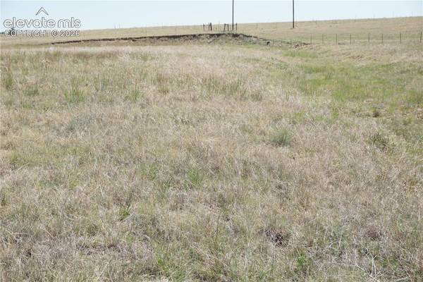 143 N Holtwood Road, Rush, CO 80833