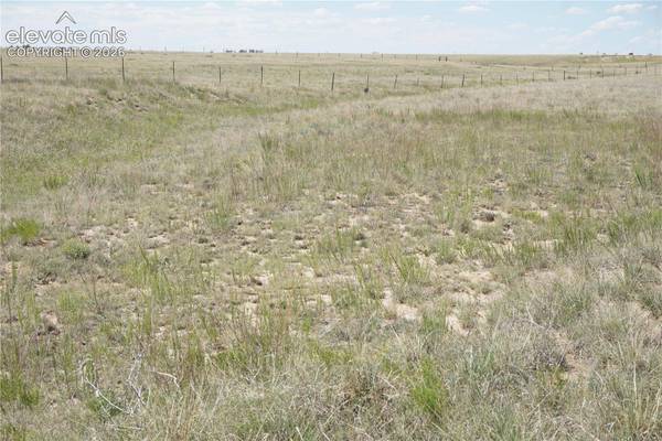 143 N Holtwood Road, Rush, CO 80833