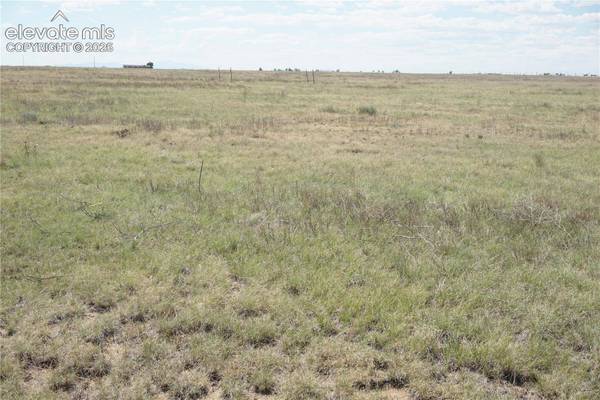 143 N Holtwood Road, Rush, CO 80833