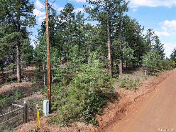422 Spring Valley DR, Divide, CO 80814
