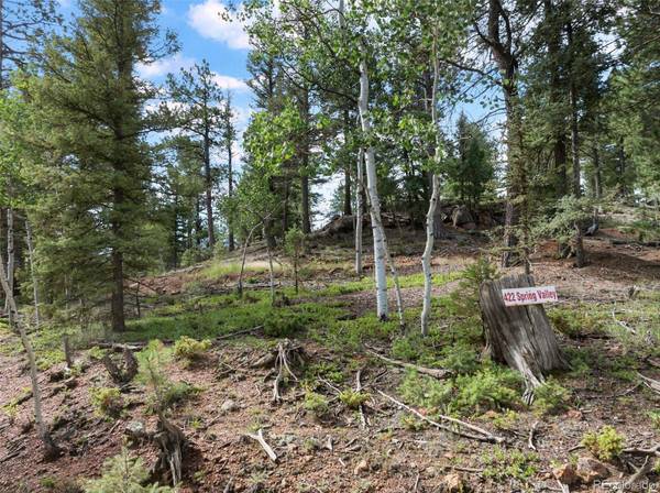 422 Spring Valley DR, Divide, CO 80814