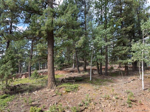 422 Spring Valley DR, Divide, CO 80814