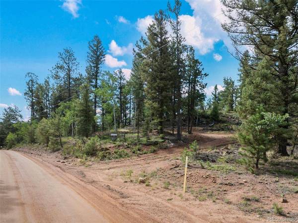 422 Spring Valley DR, Divide, CO 80814
