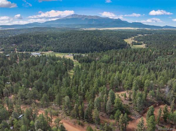 422 Spring Valley DR, Divide, CO 80814