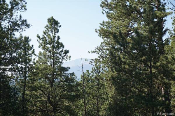 422 Spring Valley DR, Divide, CO 80814