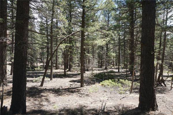616 Indian Creek RD, Florissant, CO 80816