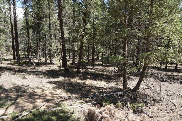 616 Indian Creek RD, Florissant, CO 80816