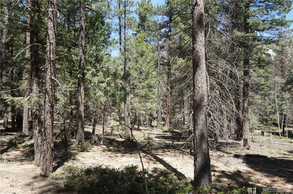 616 Indian Creek RD, Florissant, CO 80816
