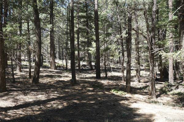 616 Indian Creek RD, Florissant, CO 80816