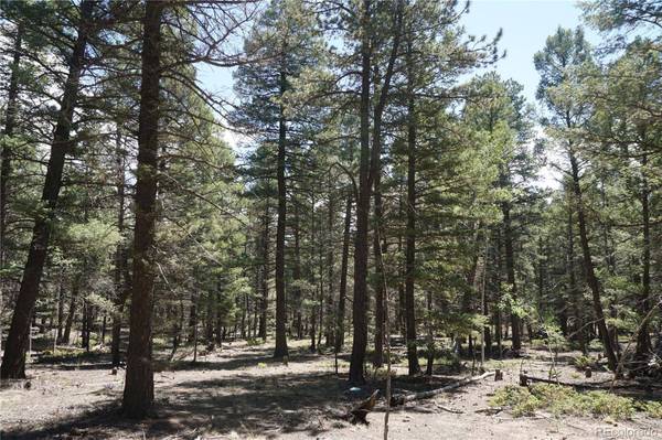 616 Indian Creek RD, Florissant, CO 80816