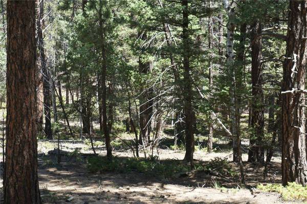 616 Indian Creek RD, Florissant, CO 80816