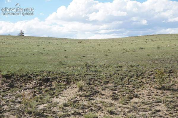 907 Walls Street, Hartsel, CO 80449