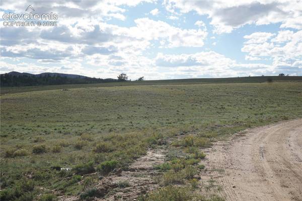1022 Walls Street, Hartsel, CO 80449