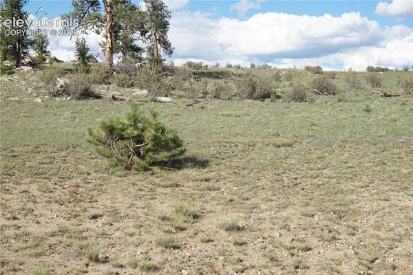 907 Walls Street, Hartsel, CO 80449